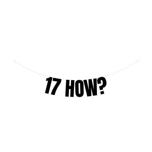 17 how? banner