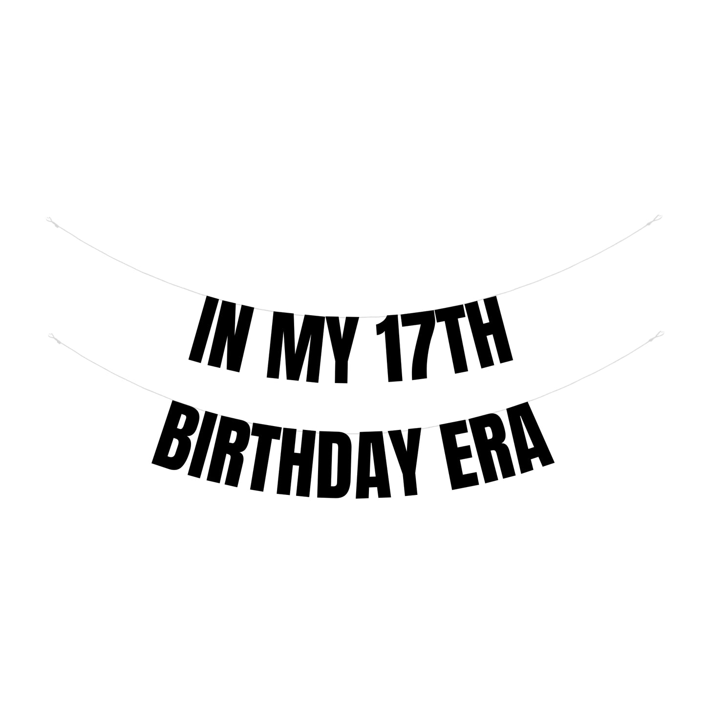 In my 17th Birthday era banner