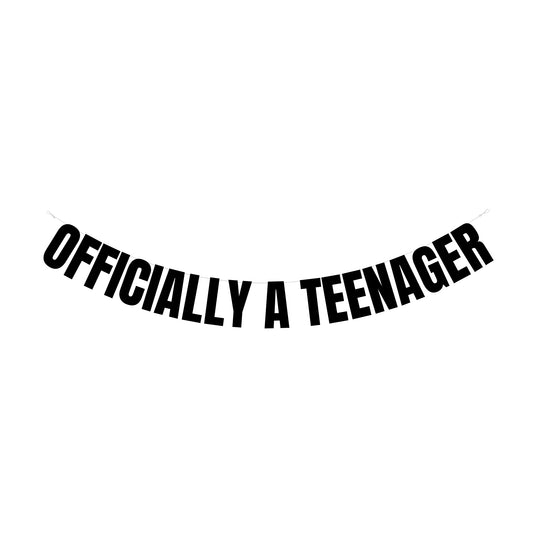 Officially a Teenager banner