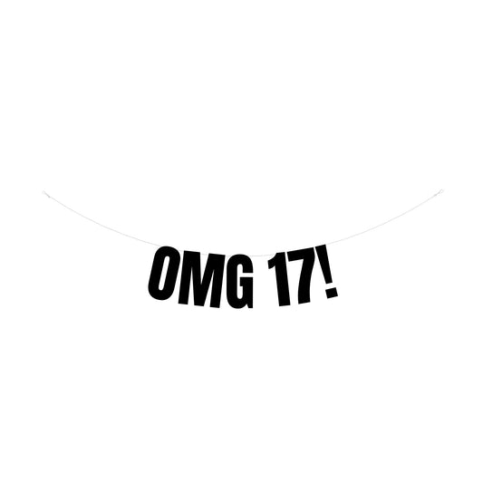 Omg 17 banner