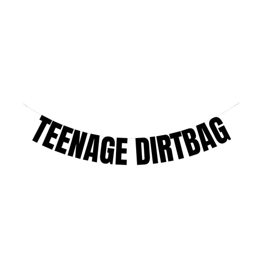 Teenage Dirtbag banner