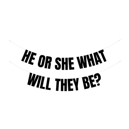 He or She what will they be banner